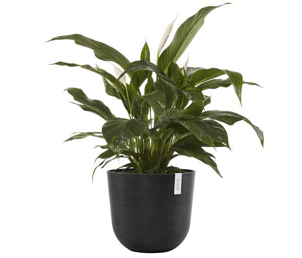 Ecopots Kunststoff-Topf Oslo, rund