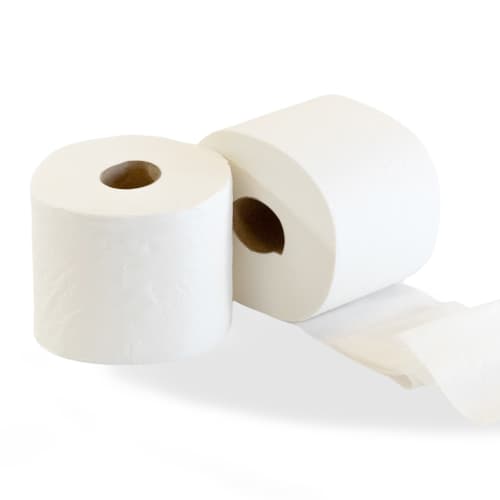 Papier toilette petit rouleau 500 feuilles Ecolabel blanc 9,6 x 11 cm Paredes Expert