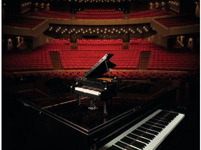 LEGO Vleugelpiano (21323)