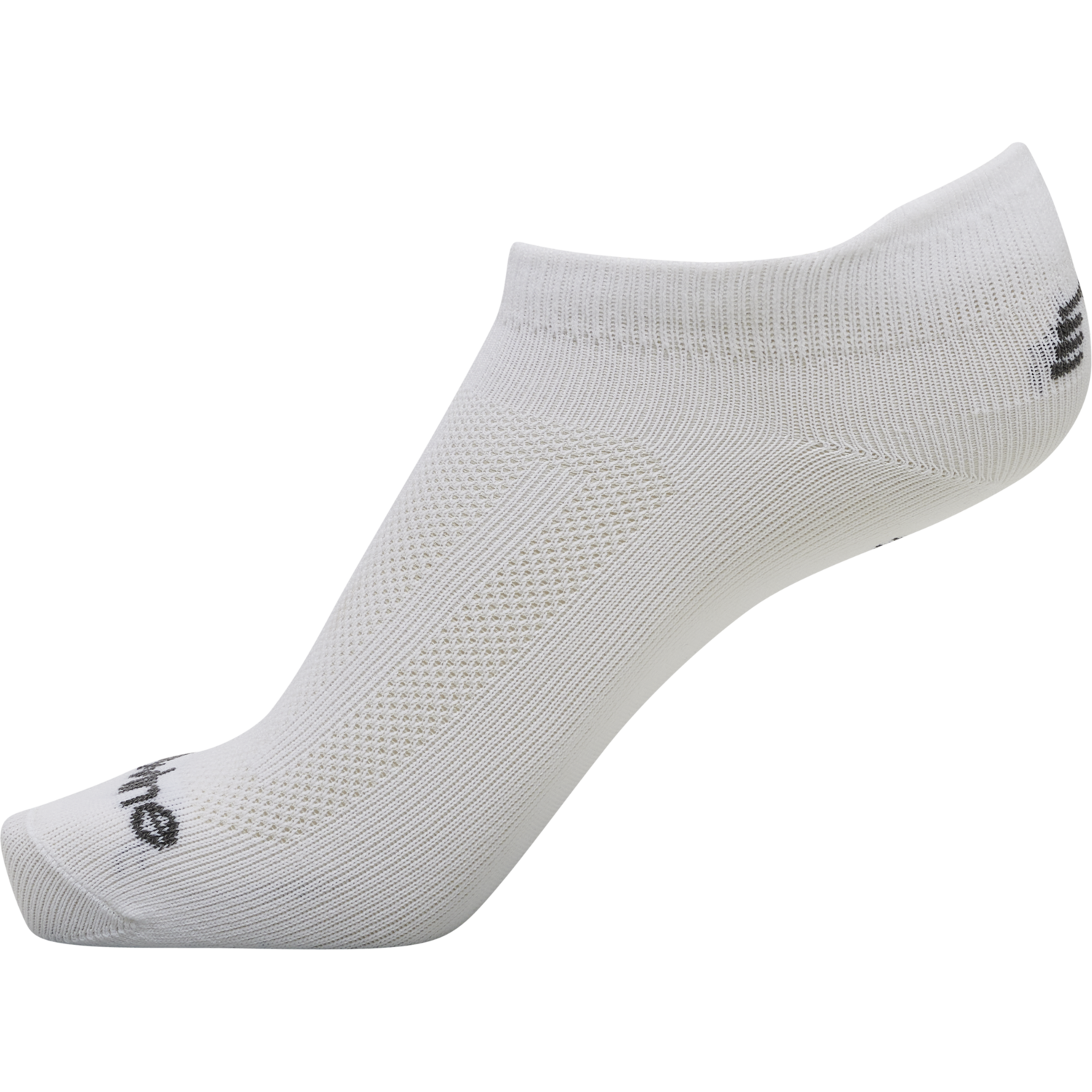 BASE SOCKLET