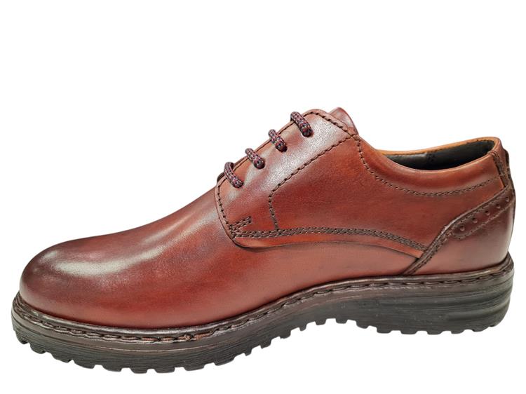 Josef Seibel Erroll 50   42950TE859 cognac