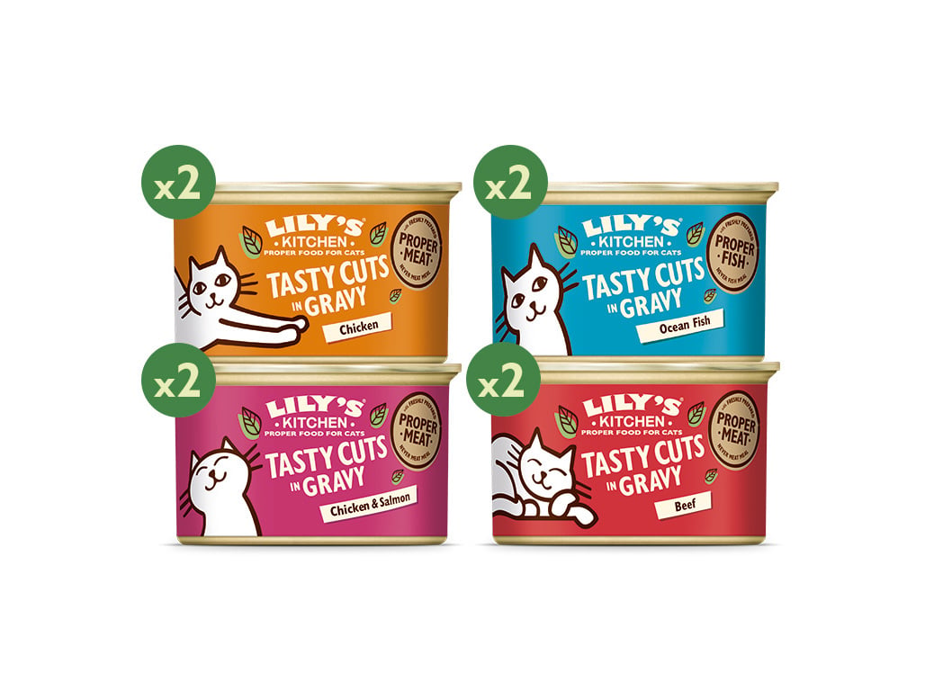 COMIDA HÚMIDA PARA GATO LILY'S KITCHEN MULTIPACK 8X85G