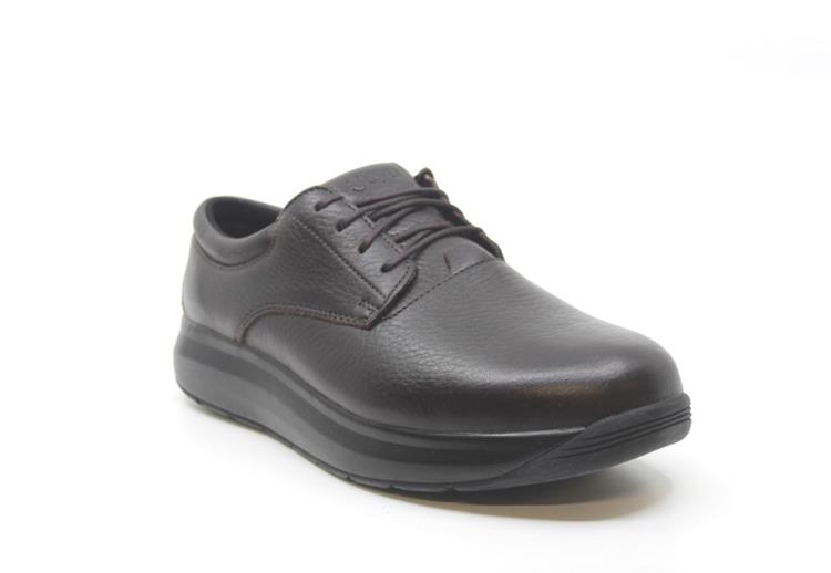 Joya Chicago Brown Bruin (JY545A)