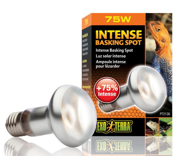 Exo Terra® Intense Basking Spot