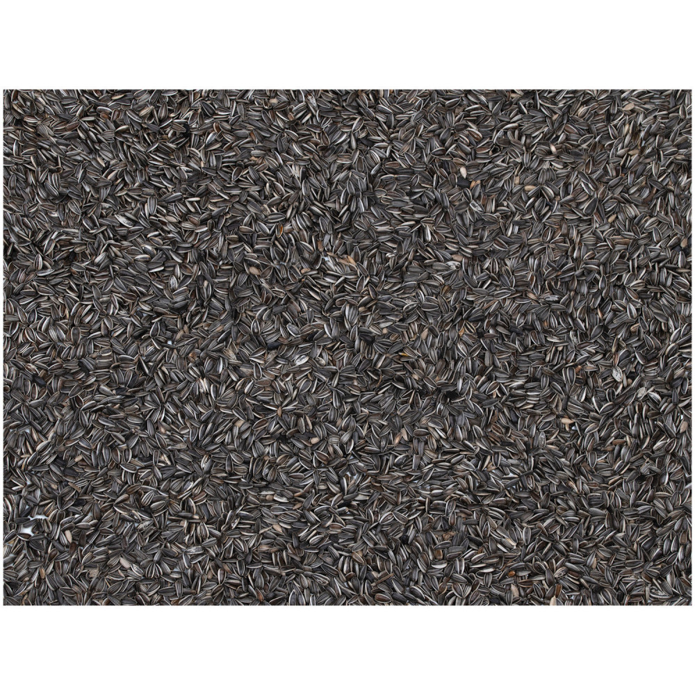 Graines de tournesol noires pour oiseaux sachet 700 gr