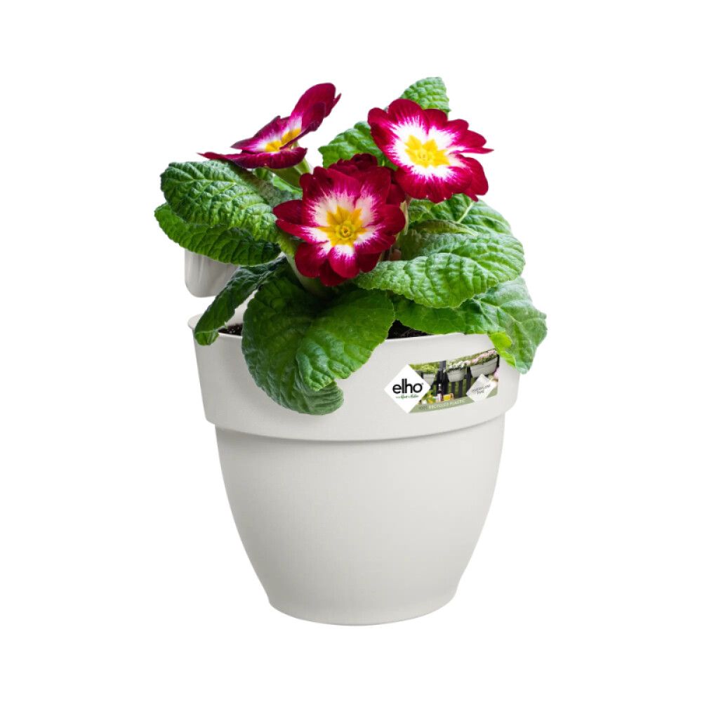 ALTANPOTTE ELHOVIBIA CAMPANA ELHO 21 CM HVIT