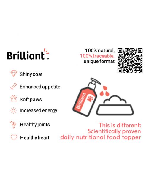 Brilliant Salmon Oil Original - Voedingssupplement - Huid - Vacht