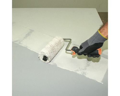 Baumit Anti-Schimmel Primer 5 L