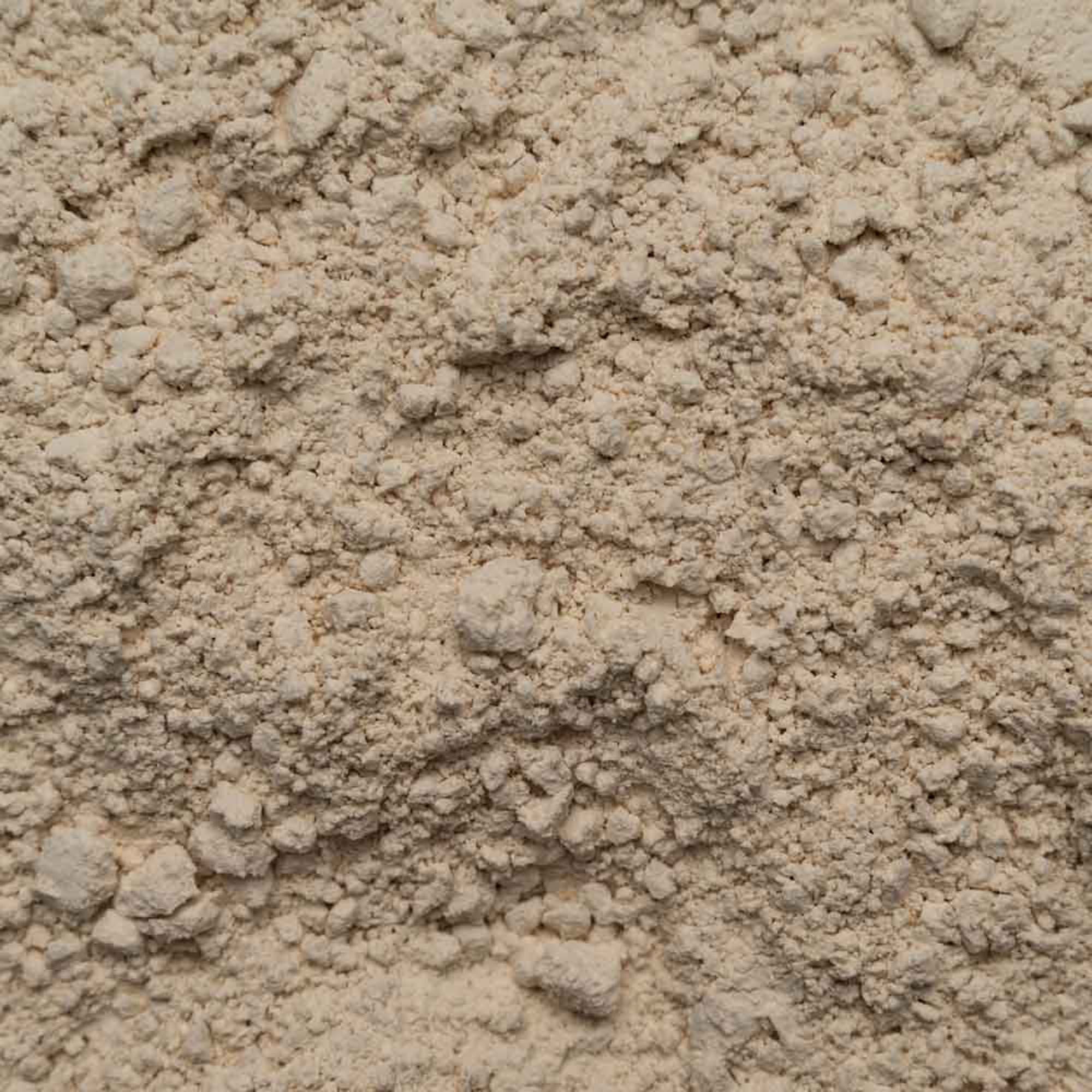 Biotiva Reisprotein Pulver Bio