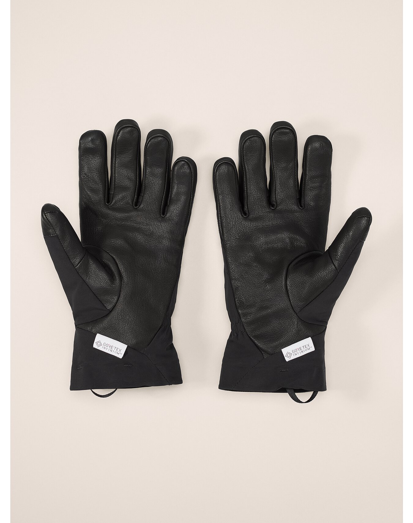 Arcteryx Venta AR Glove Black