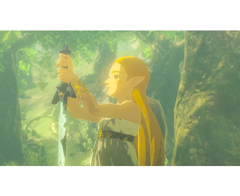 Nintendo The Legend of Zelda: Breath of the Wild (Switch 2)