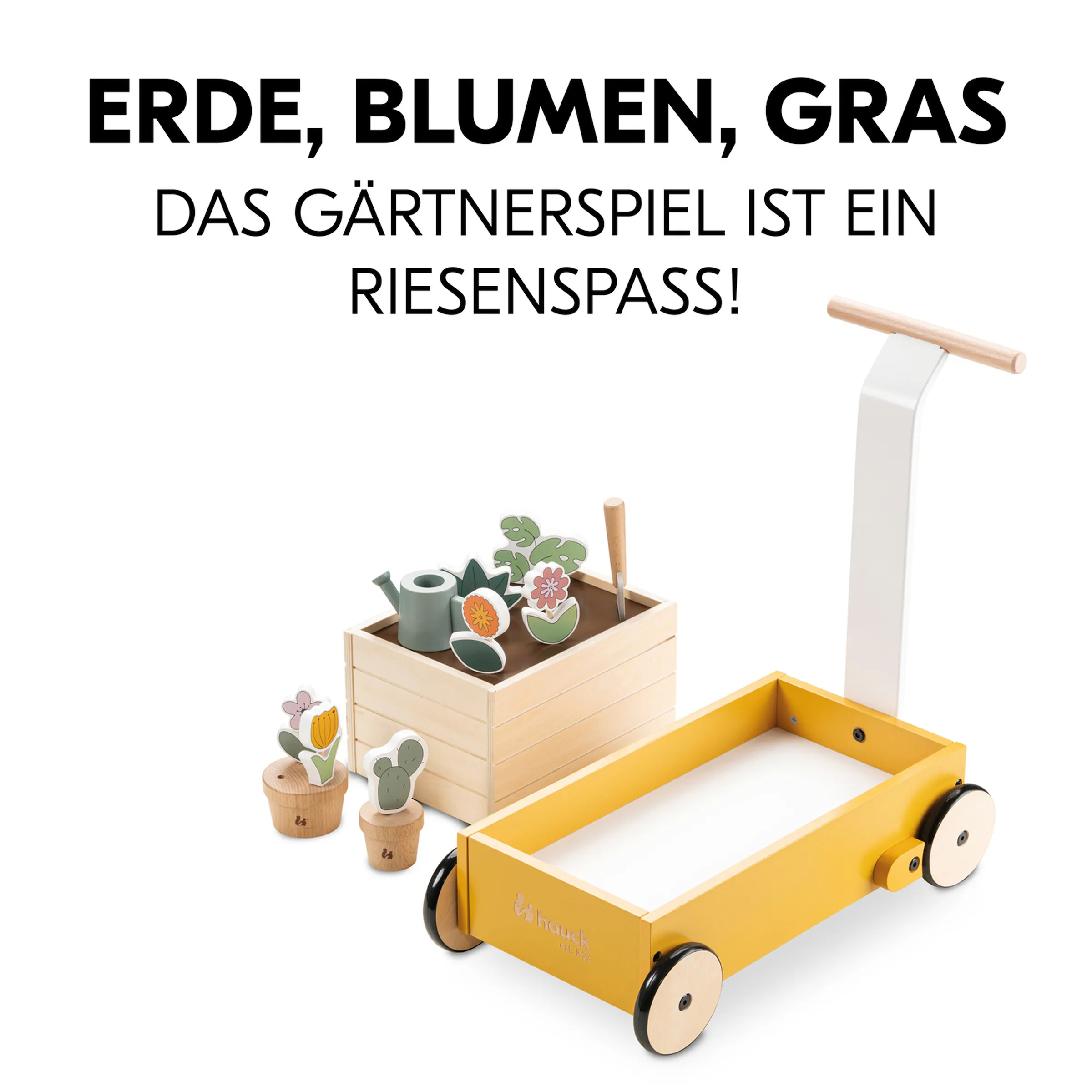 Hauck Lauflernwagen Learn to Walk