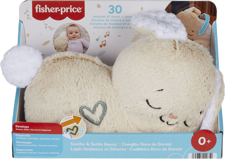 Fisher Price Fisher Price Sensimals Be