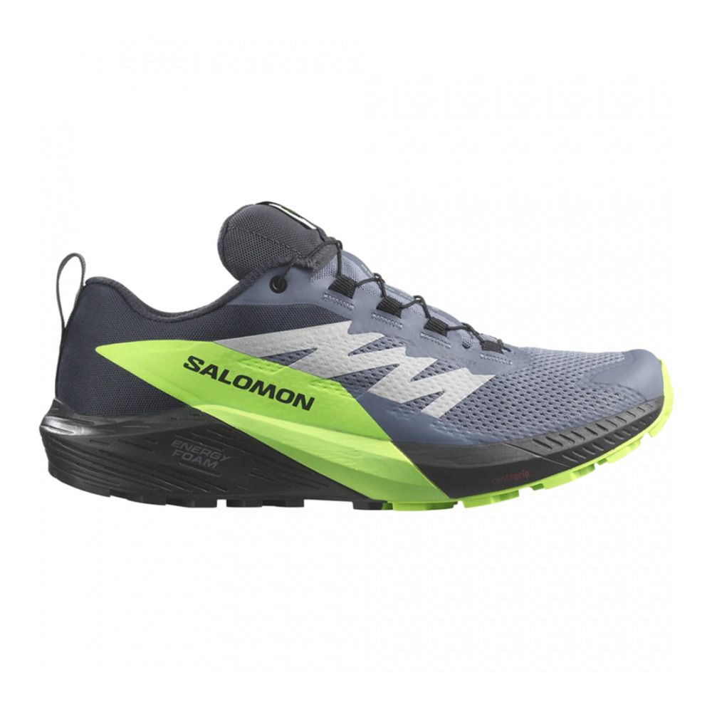 Salomon SENSE RIDE 5 GTX - Chaussures trail Homme flint stone/black/green gecko