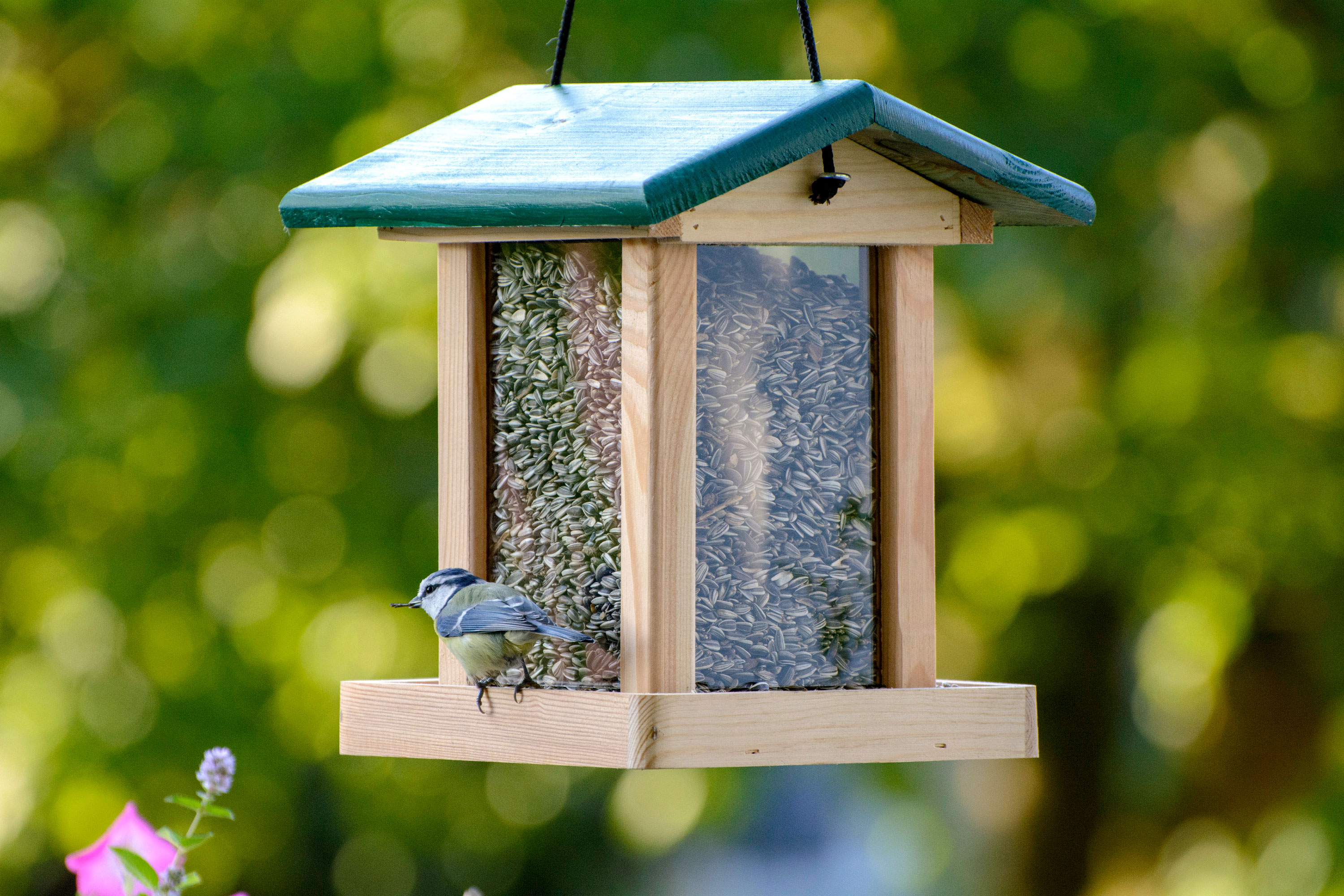 dobar Vogelfutterhaus - versch. Ausführungen