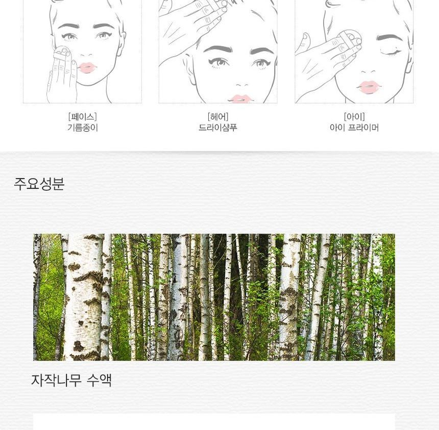 Het Saem - Saemmul Perfect Pore Pact