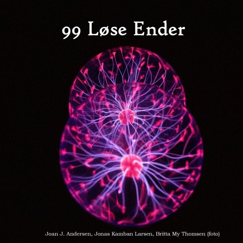 99 Løse Ender - Joan J. Andersen - Bog