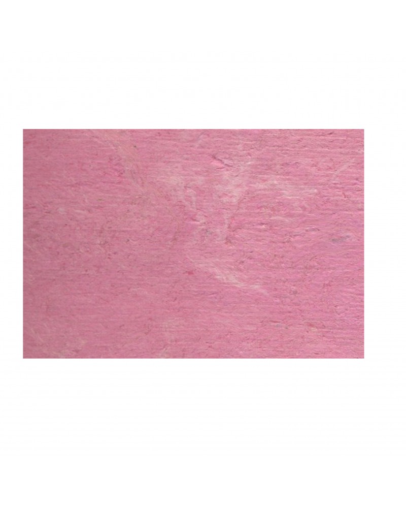 AMATE Rose Mexicain