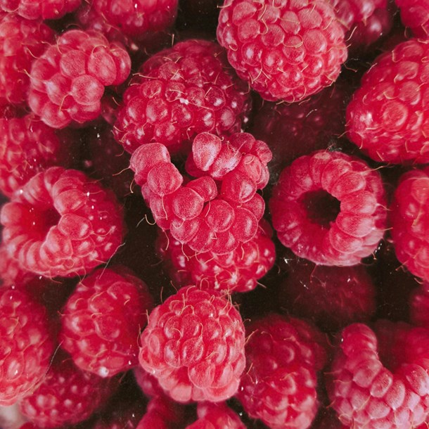 Rubus idaeus malling promise - 2