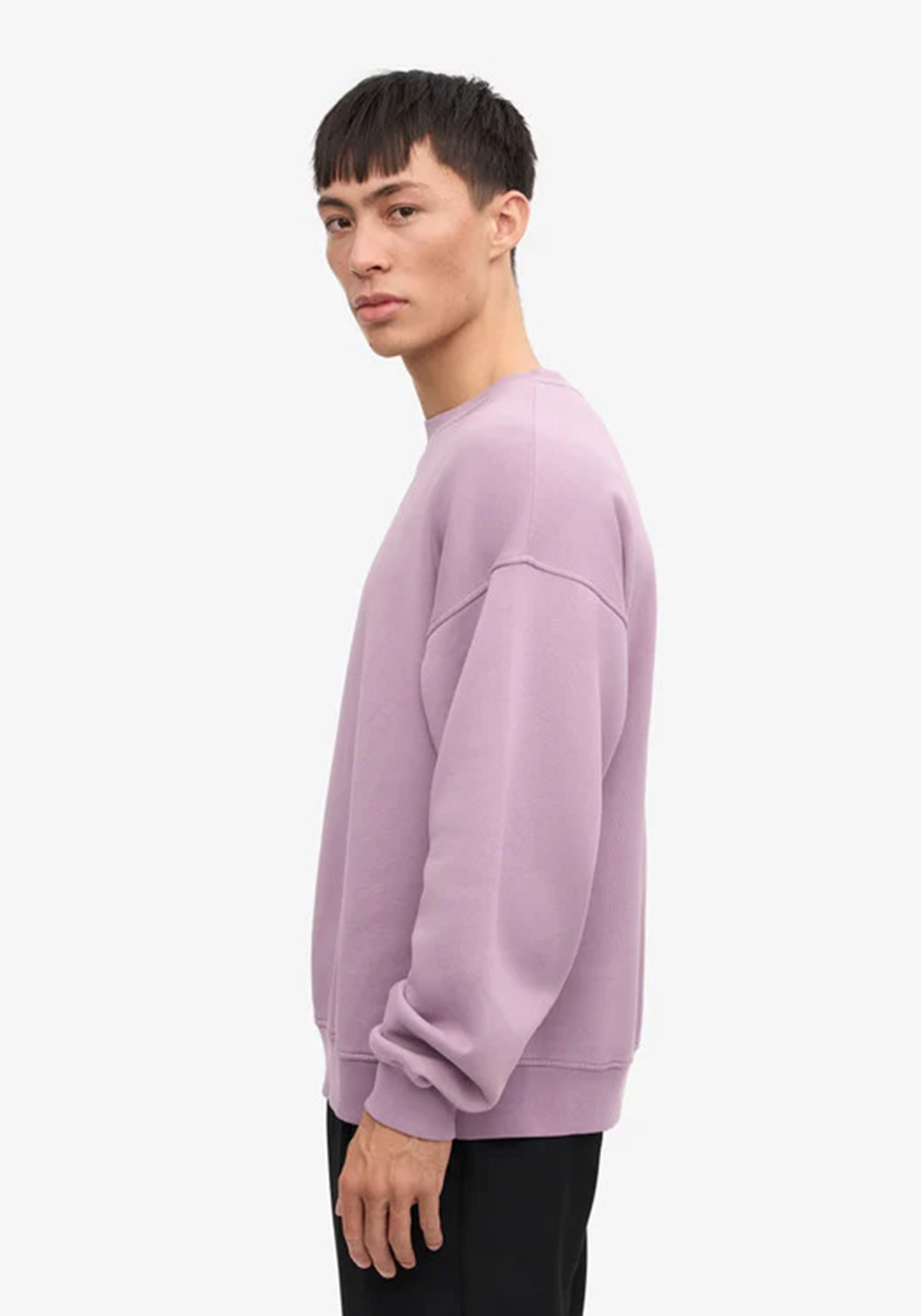 Colorful Standard Oversized Sweatshirt Pearly Purple
