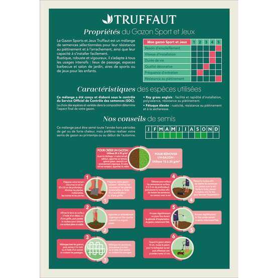 Gazon sport et jeux 1 kg truffaut