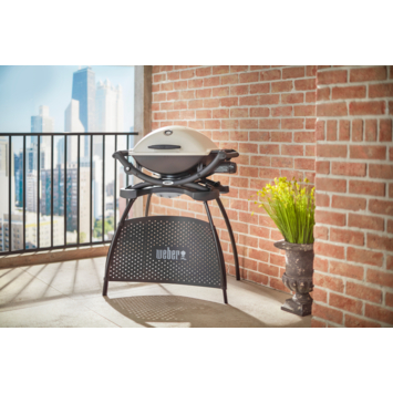 Weber® Standaard Q1000 Q2000