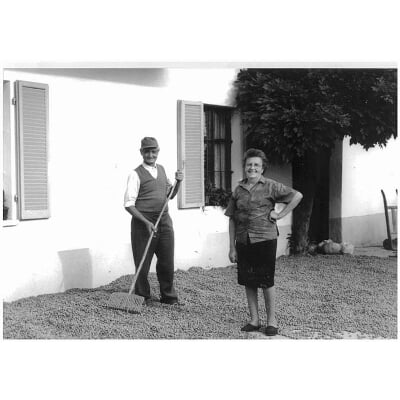 Piemontesische Haselnüsse