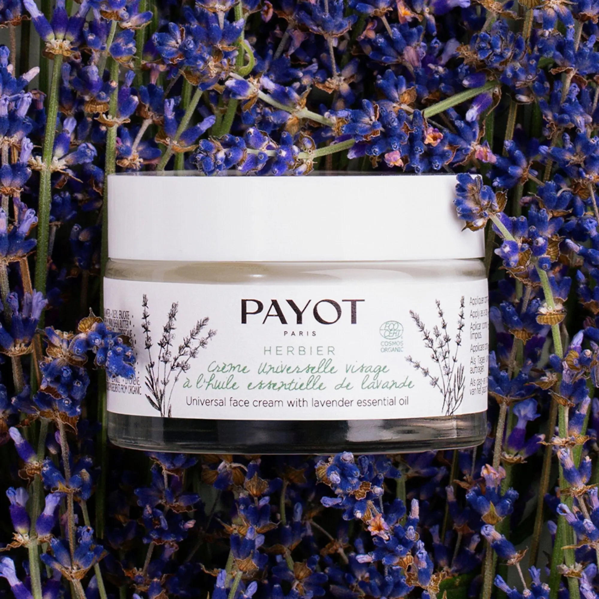 Payot - Crème universelle à l'huile essentielle de lavande Crème universelle visage- Soin de jour