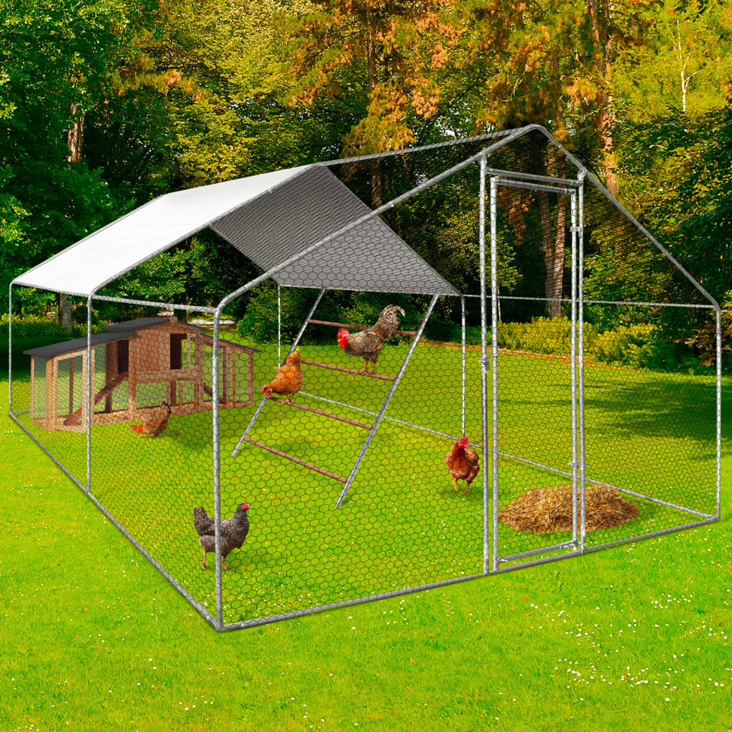 Enclos poulailler 12 m² 4x3 M avec grand perchoir 4 niveaux en bois acier galvanisé