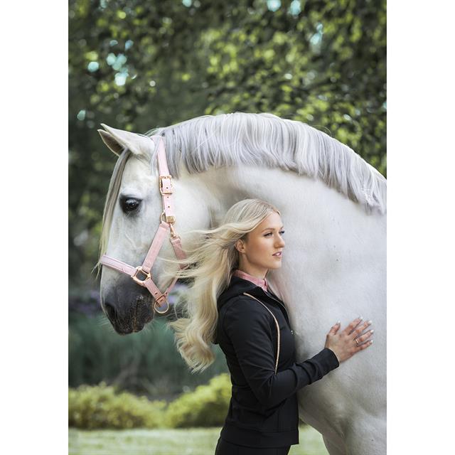 Halsterset BRITT EQUESTRIAN AW25 Roze