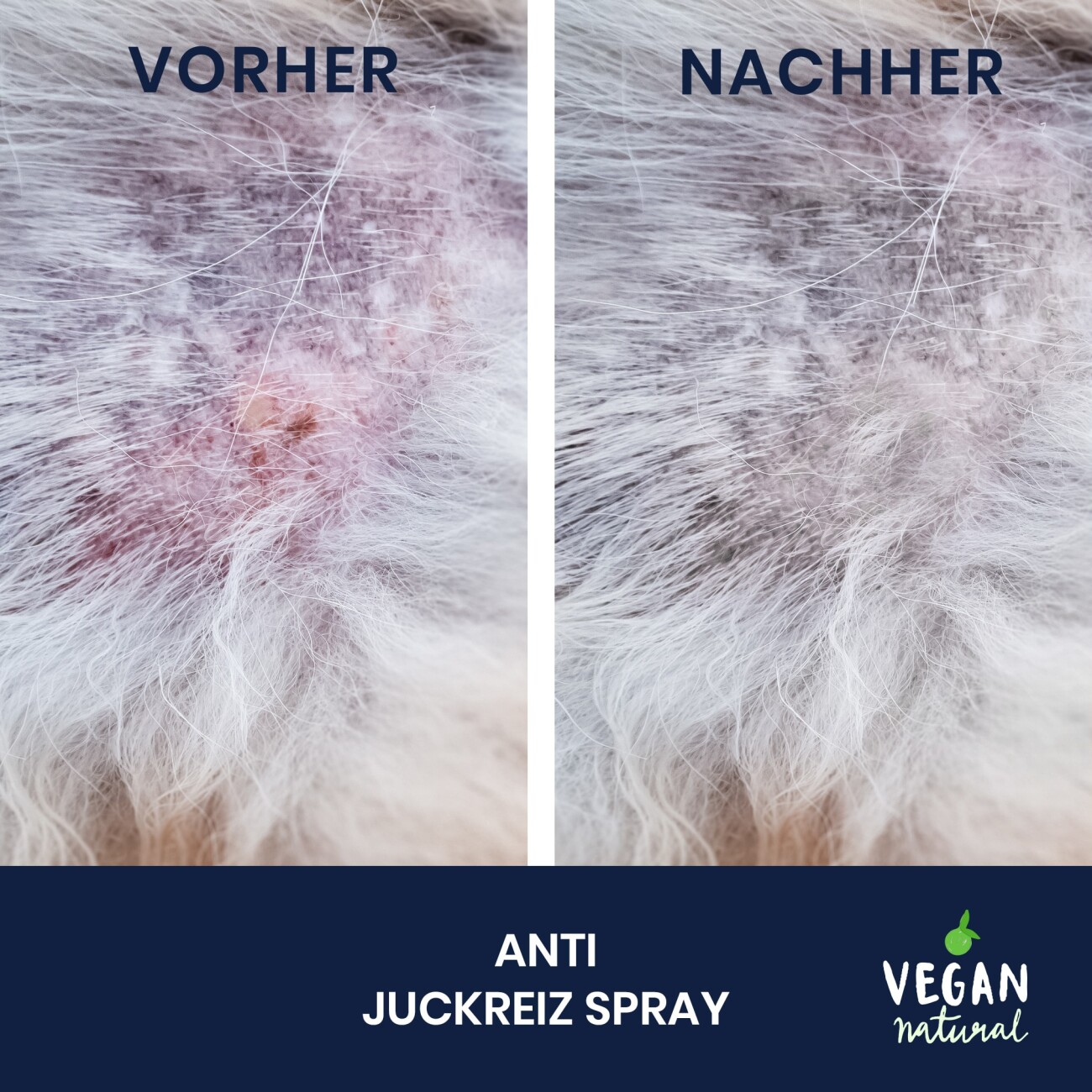 Pawlie's Juckreiz Spray Hunde & Katzen 150ml