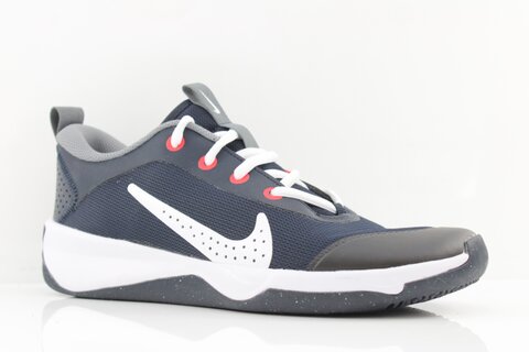 Nike Nike Omni Multi-Court Big Kids