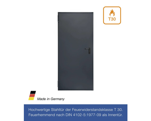 Hörmann multifunctionele kelderdeur T30 H8-5 RAL 7016 antracietgrijs 875x2000 mm omkeerbaar links/rechts