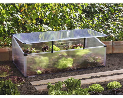 Feronia kweekbak 104 x 56 x 36 cm zilver