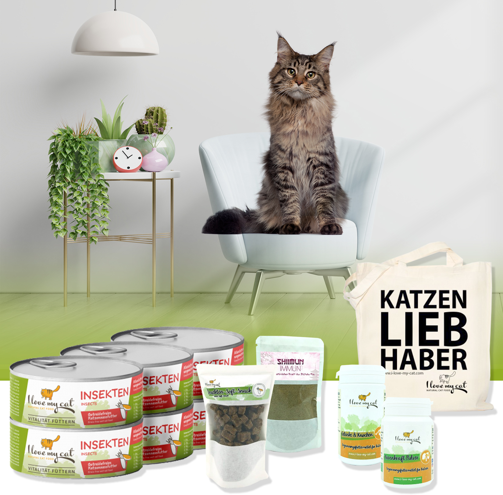 Ensemble économique pour maine coon