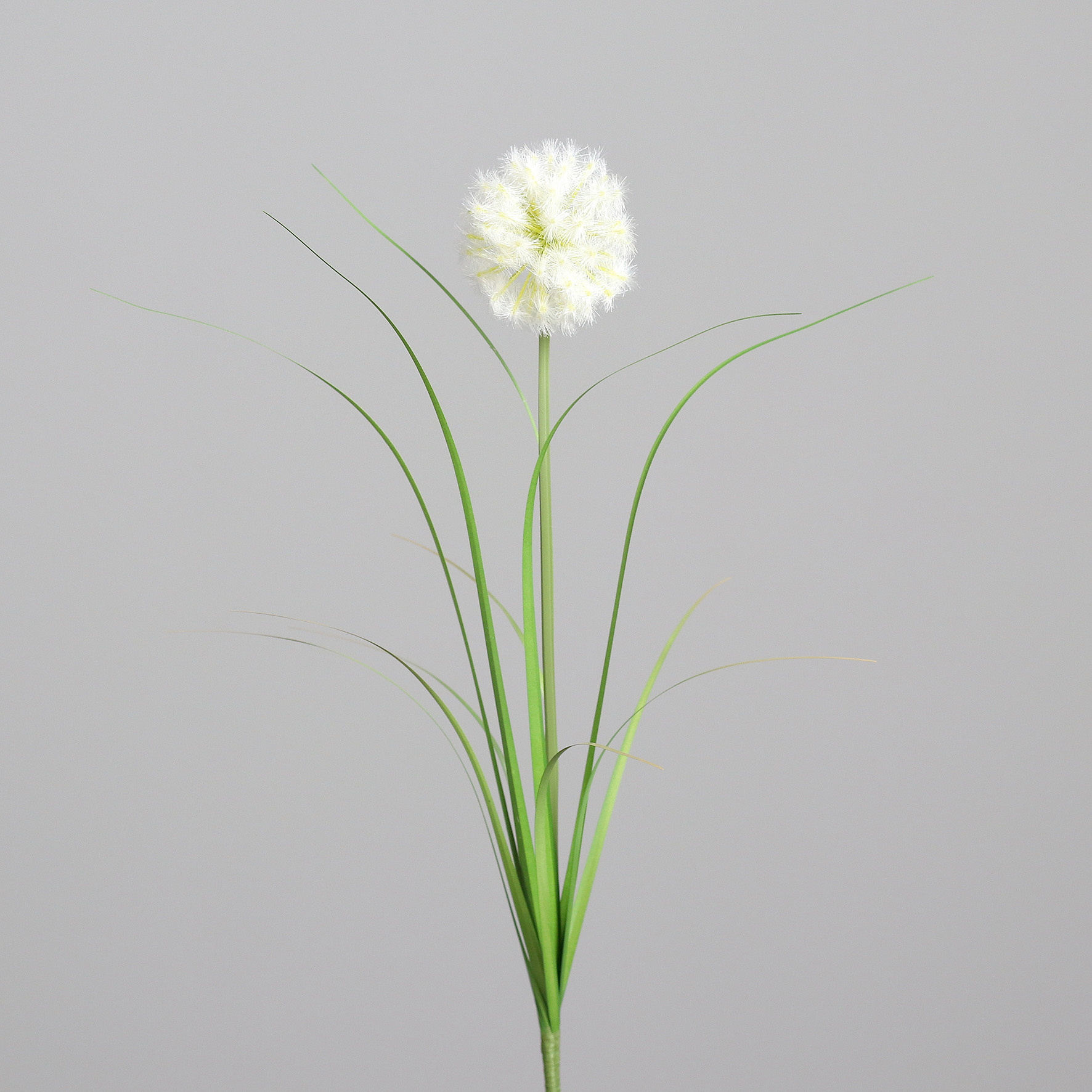 Kunstblume PUSTEBLUME