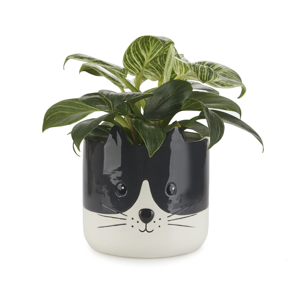Vaso de flores Balvi Kitty, preto e branco, vaso de flores original com design de gatinho, cerâmica, 13,7 x 13,5 x 13,5 cm