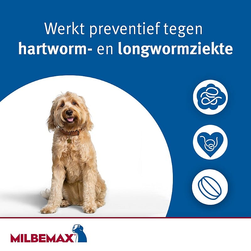 Milbemax Kleine Hond Ontwormingstabletten