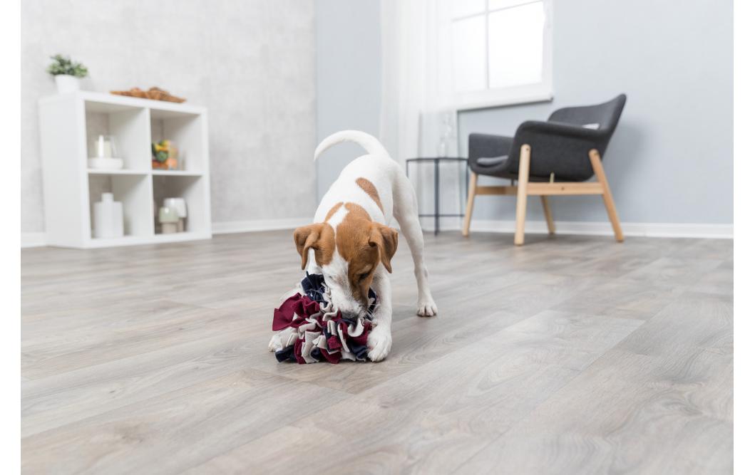 Strategie-Spiel Schnüffelball, ø 15 cmSchnüffelball für Hunde