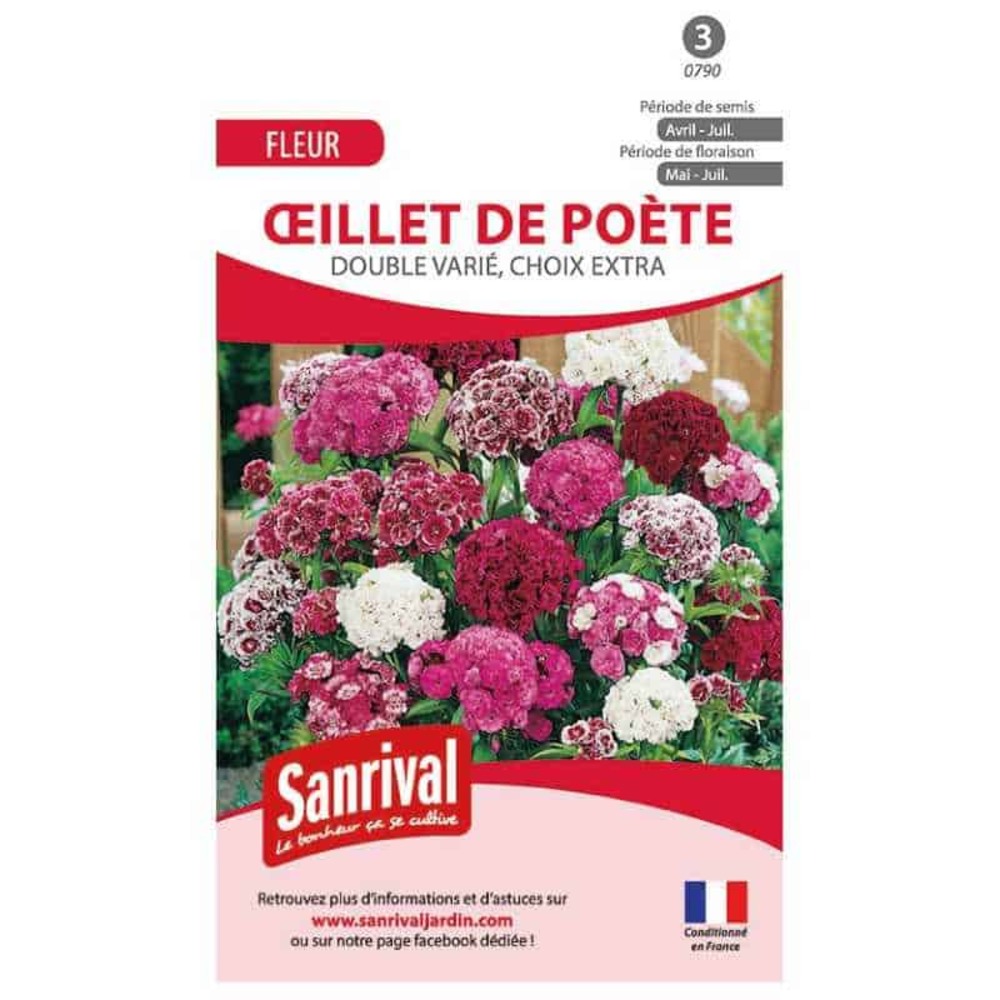 Graines œillet poete double varié