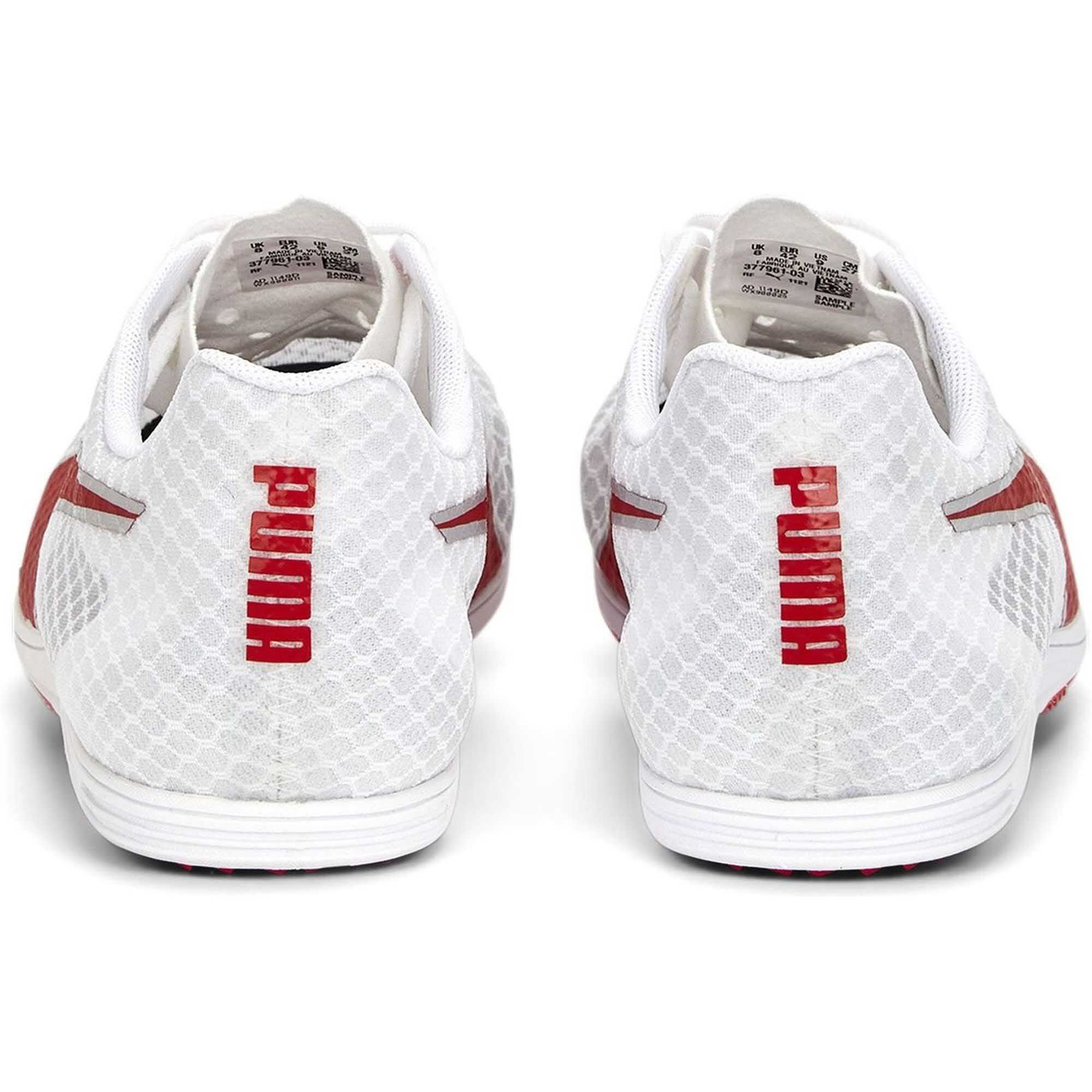 PumaevoSPEED Distance 11