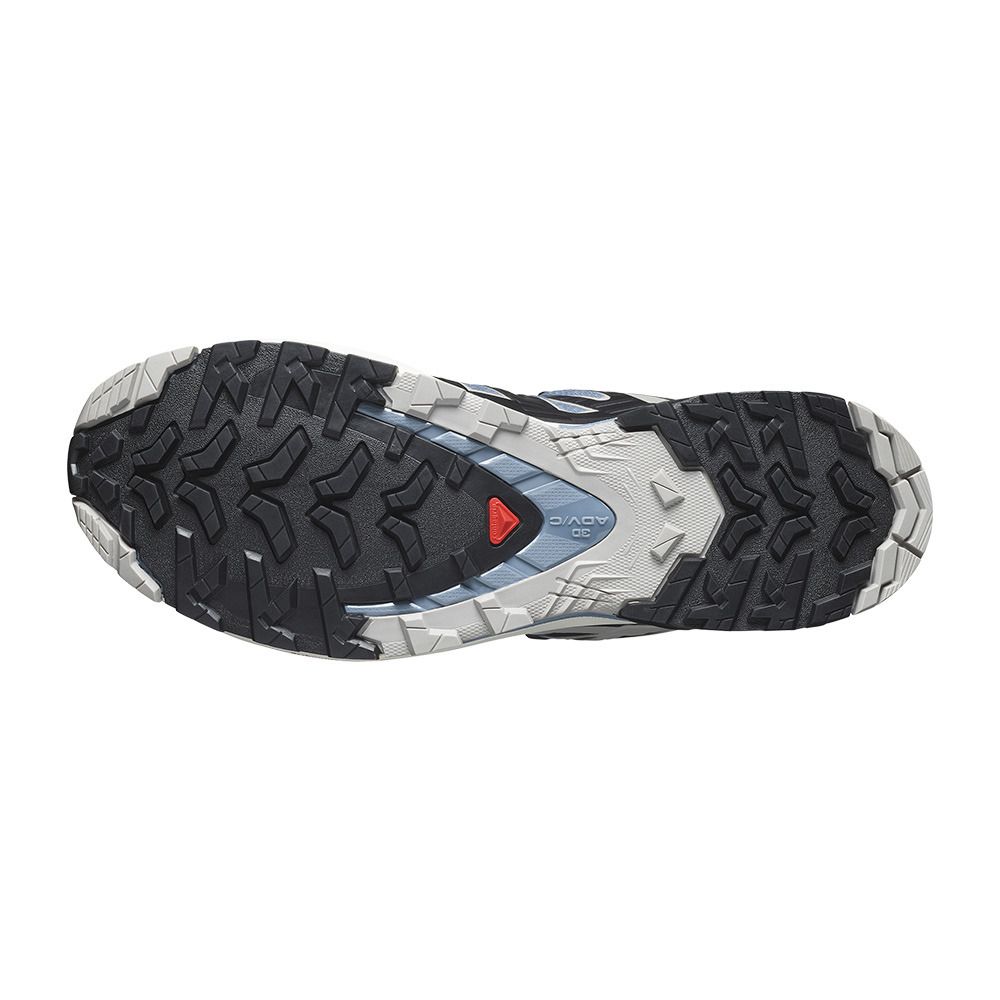 Salomon XA PRO 3D V9 GTX - Chaussures trail Homme flint stone/black/ghost gray