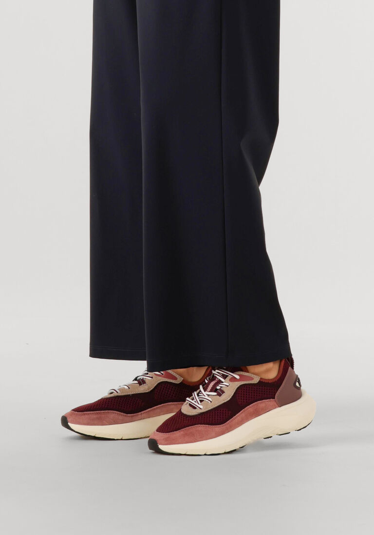 paarse the hoff brand lage sneakers traveler