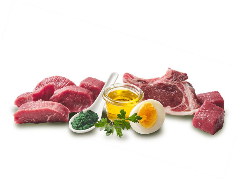 DOGGY Dog Nassfutter Dose Lamm Sensitive 400 g Alleinfuttermittel für ausgewachsene Hunde