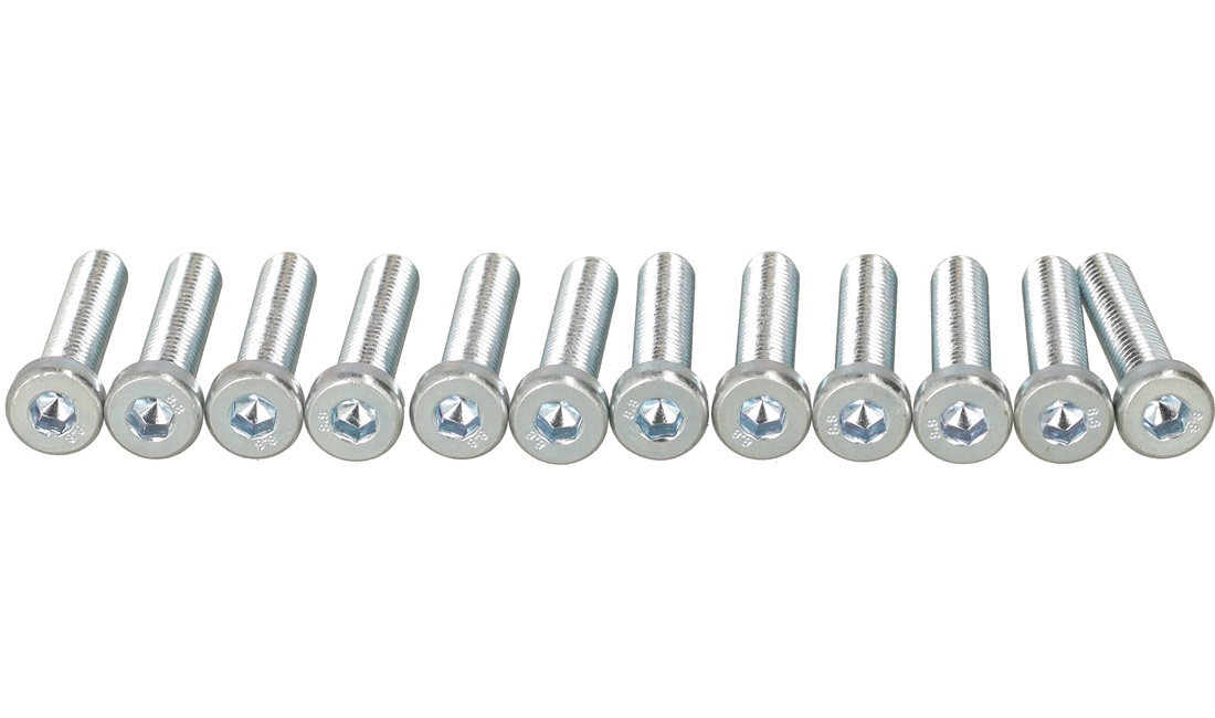 Unbraco bolte 6x30 mm - 12 stk.
