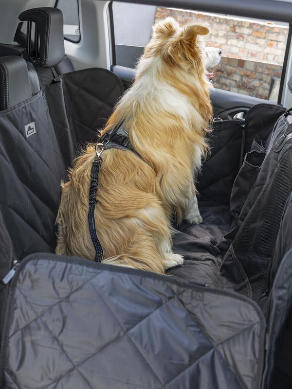 Dehner Lieblinge Hunde-Sicherheitsgurt