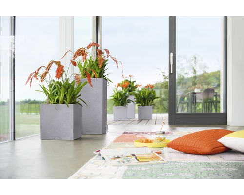 Lechuza Canto Stone plantenbak 40 x 40 x H 40 cm grijs incl. zelfbewateringssysteem, plantenbak, substraat en waterniveau-indicator