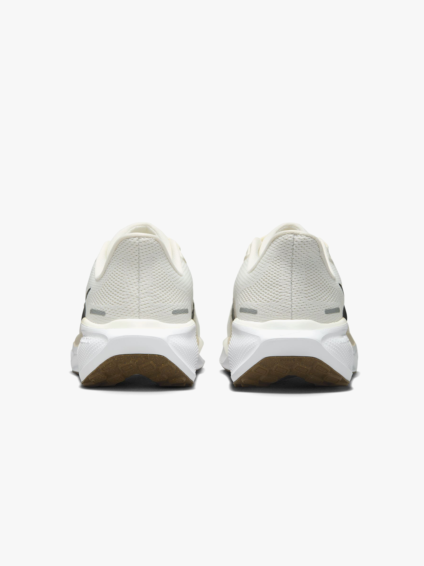 Pegasus 41