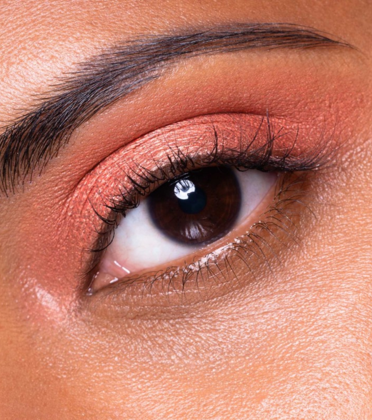 Neve Cosmetics - Sombra multiuso em uma única embalagem - Loop