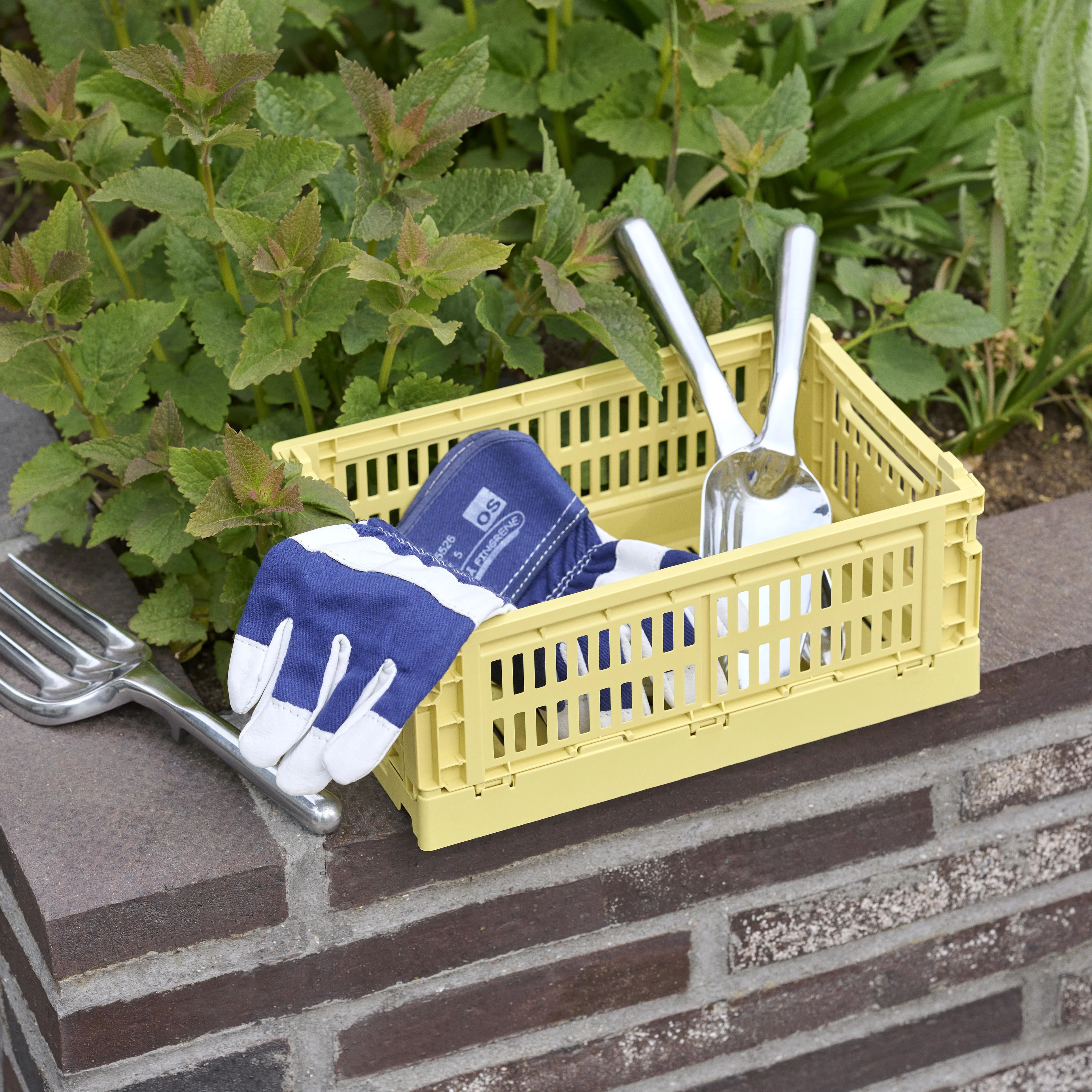 COLOUR CRATE - Panier | Jaune